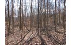 Property photo 17 - 97.5 Acres - Executive Home and Secluded Retreat